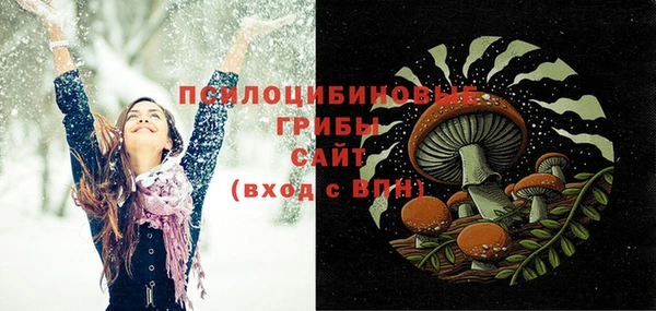 прущий лед Богородск