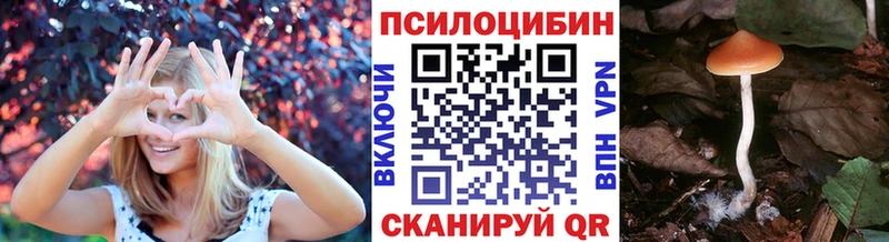 Псилоцибиновые грибы прущие грибы  закладки  Вельск 